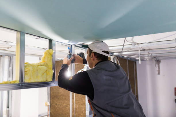 Best Specialized Insulation Services in Arlington, VA
